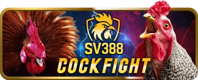 Cá cược thể thao vuabai9 win